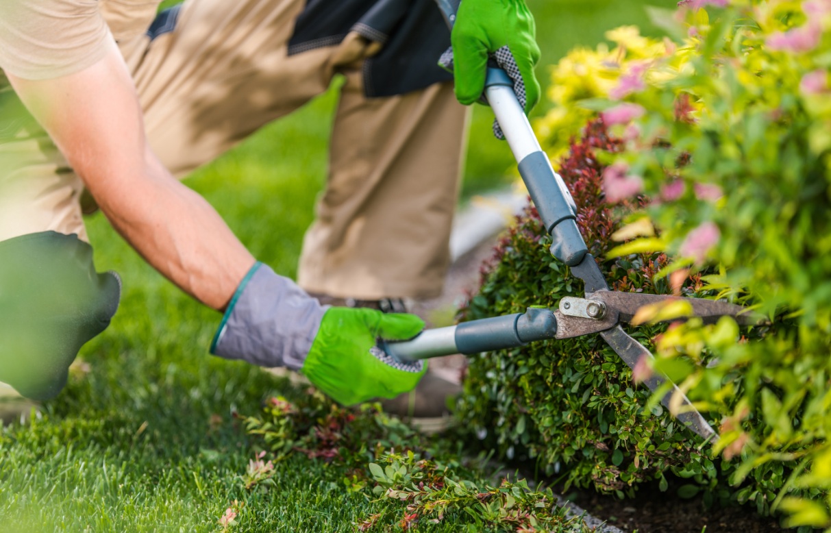 Las mejores empresas de jardinería en Madrid
